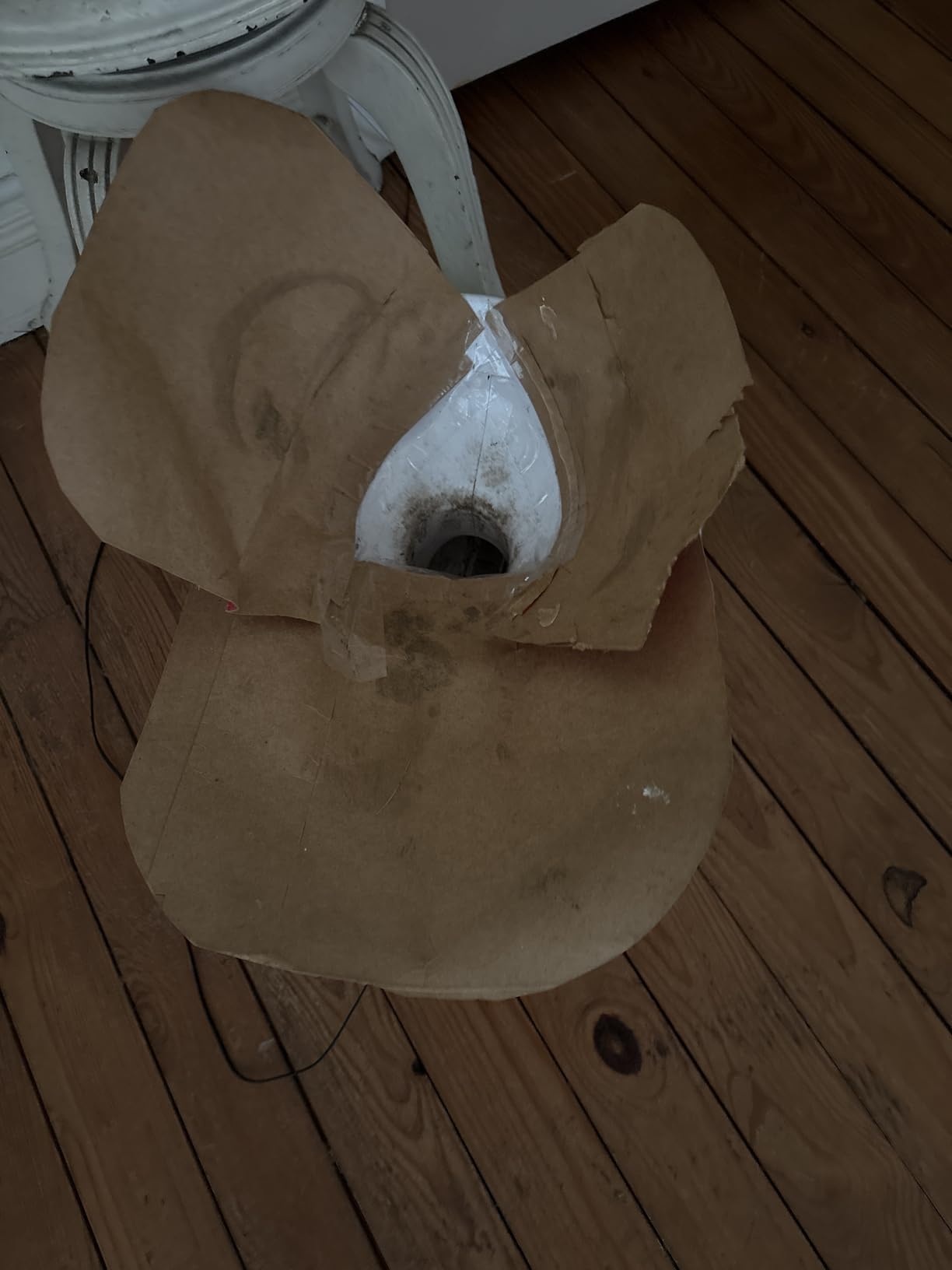 Large Automatic Ball Machine For Medium and Large Dogs Training review EAY 00