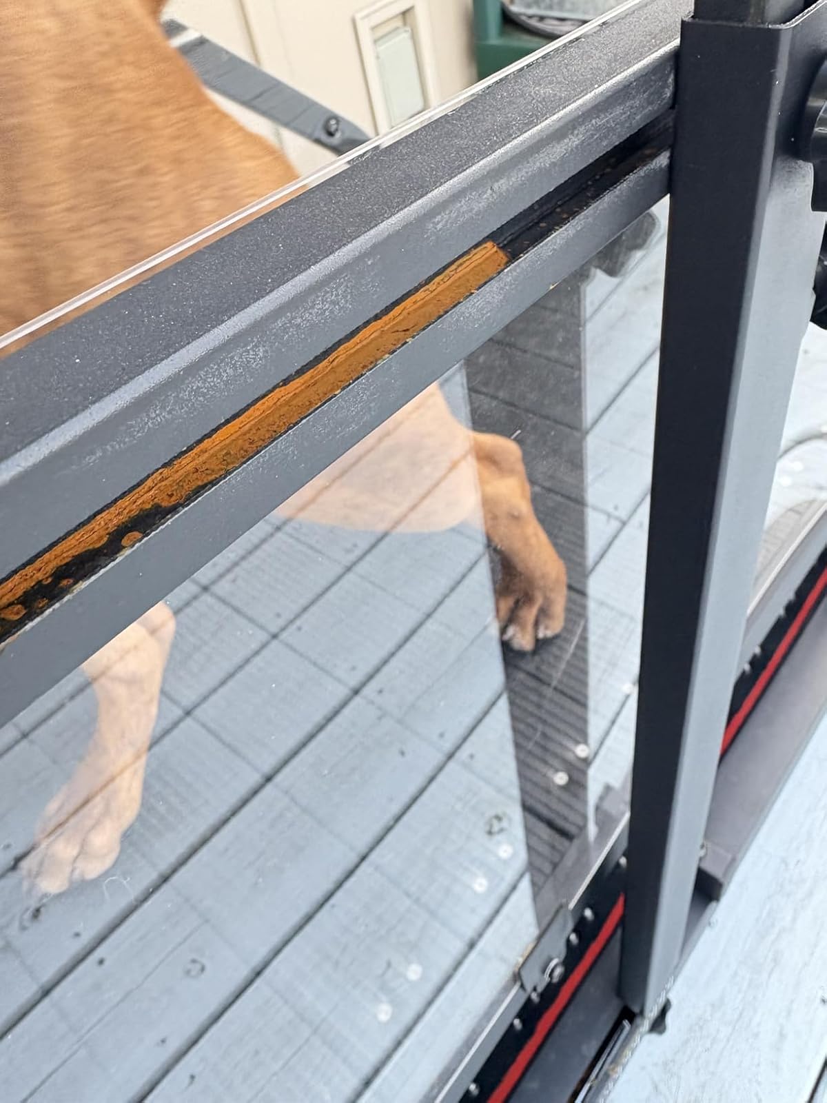 Ronzeil Non-Electric Dog Treadmill review Kit 01