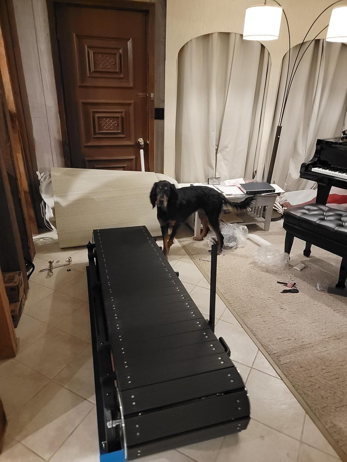 Ronzeil Non-Electric Dog Treadmill review Carl Sattler 01
