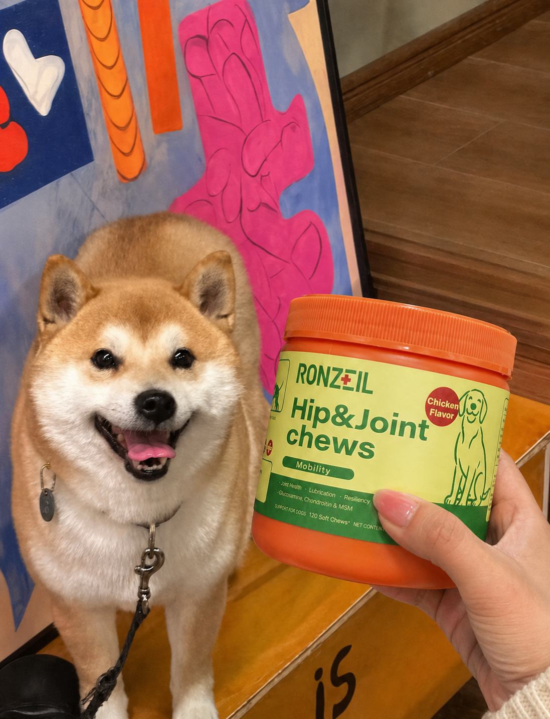 Ronzeil Dog Hip And Joint Supplement Chews Chicken Flavor review Jony
