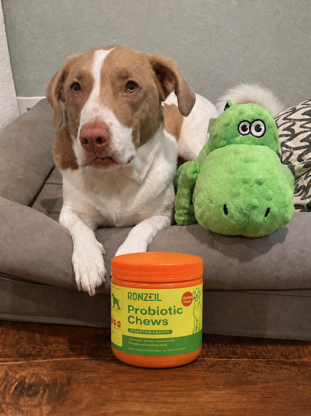 Ronzeil Canine Probiotic Supplement Chicken Flavor review Vivian