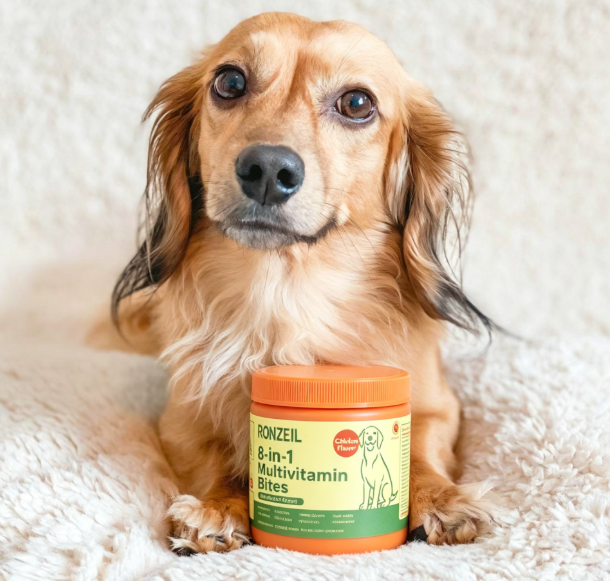 Ronzeil 8-in-1 Multivitamin Soft Chew Bites for Dogs Chicken Flavor review Amazing