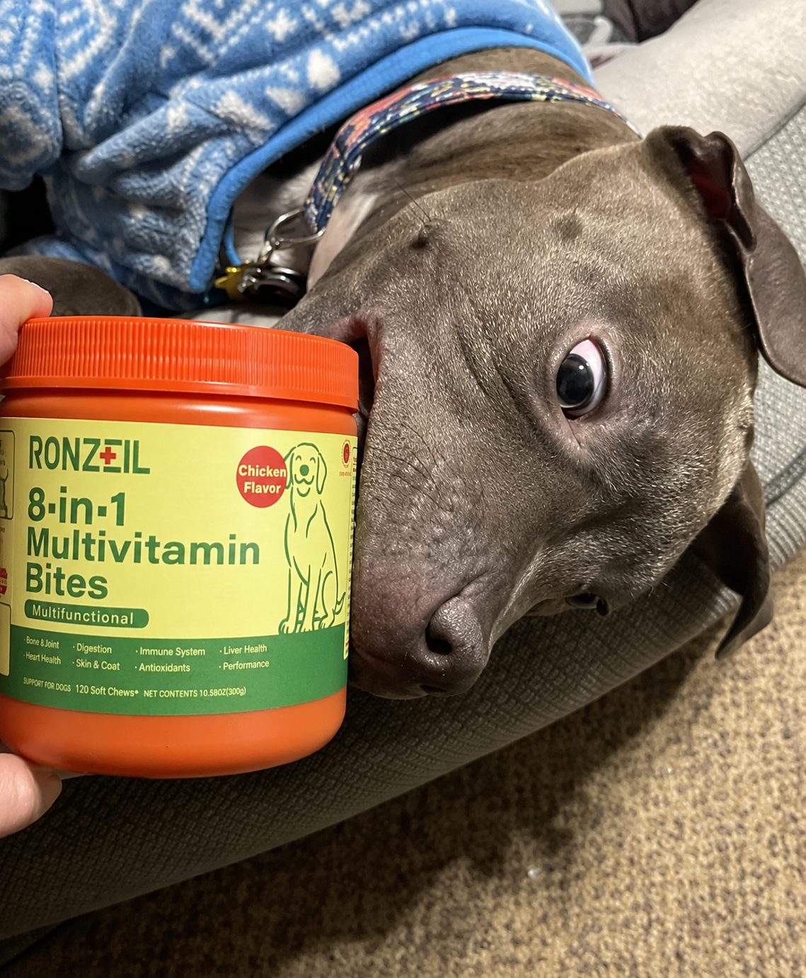 Ronzeil 8-in-1 Multivitamin Soft Chew Bites for Dogs Chicken Flavor review Carla