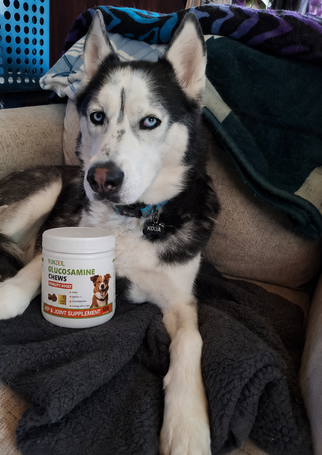 Ronzeil Glucosamine Chondroitin Hip and Joint Supplement for Dogs Chicken Flavor review Ashley