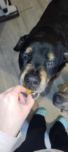 Ronzeil Dog Hip And Joint Supplement Chews Chicken Flavor review Enzos