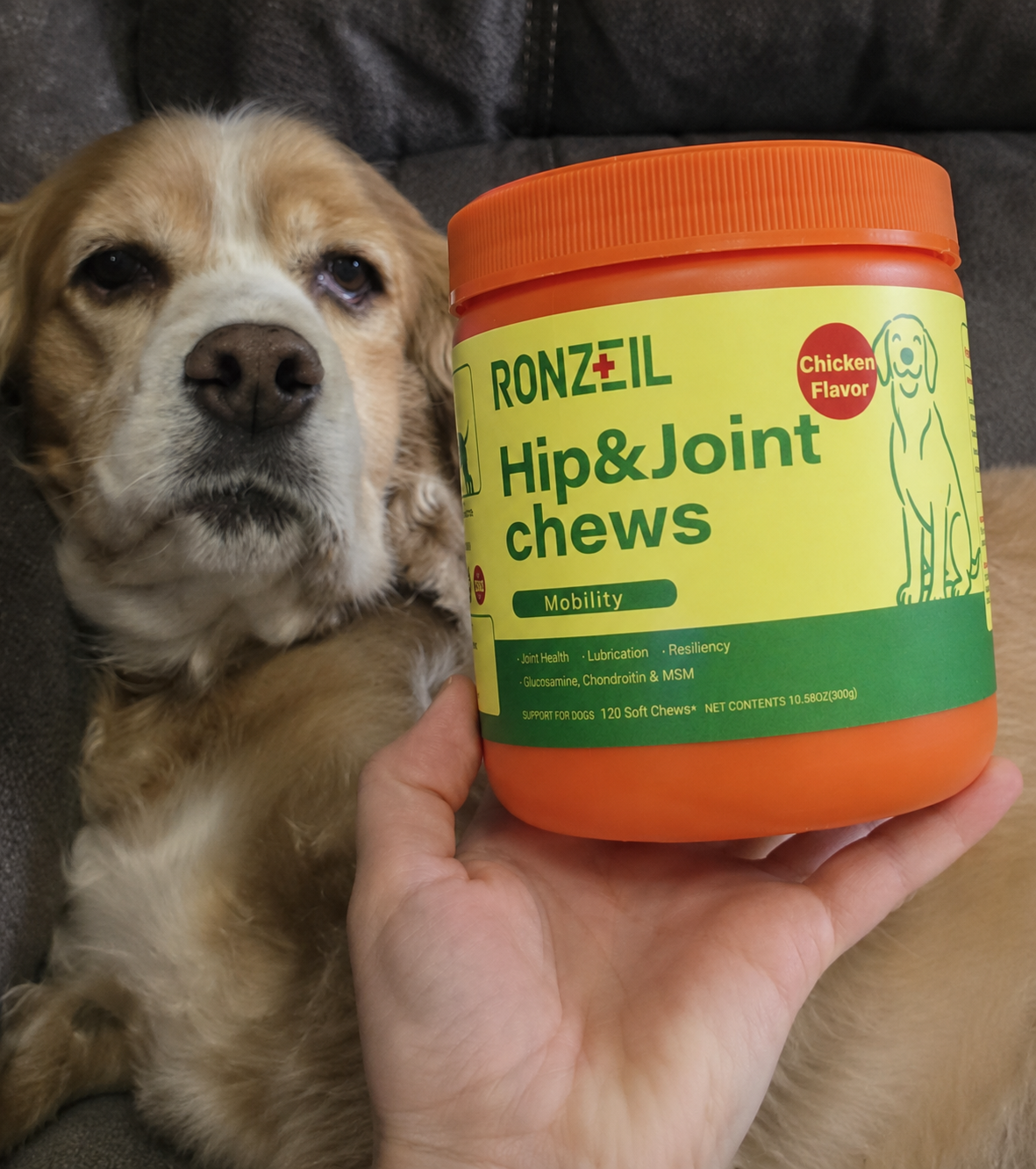 Ronzeil Dog Hip And Joint Supplement Chews Chicken Flavor review Sara 00