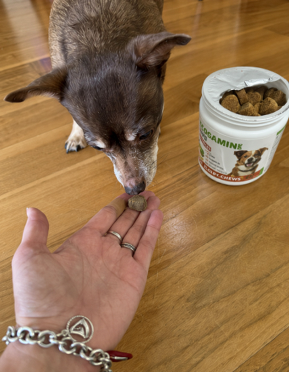 Ronzeil Dog Hip And Joint Supplement Chews Chicken Flavor review Kerri
