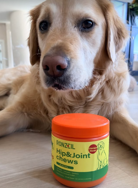 Ronzeil Dog Hip And Joint Supplement Chews Chicken Flavor review Archie