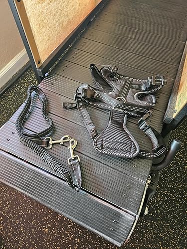 Ronzeil Non-Electric Dog Treadmill review Wjtjtjnhn 01