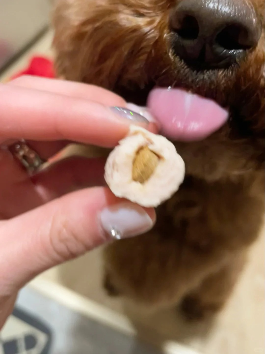 Ronzeil Dog Hip And Joint Supplement Chews Chicken Flavor review Toubic