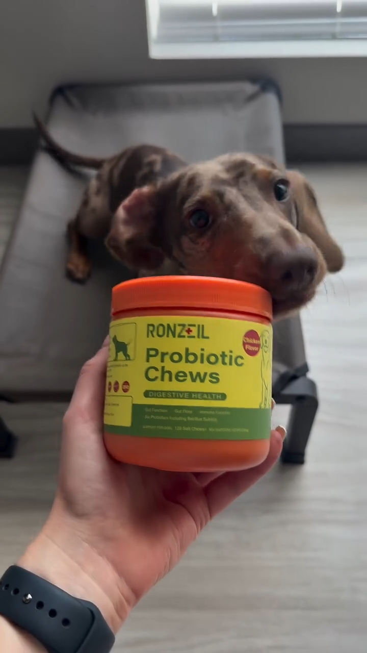 Ronzeil Canine Probiotic Supplement Chicken Flavor review Archie
