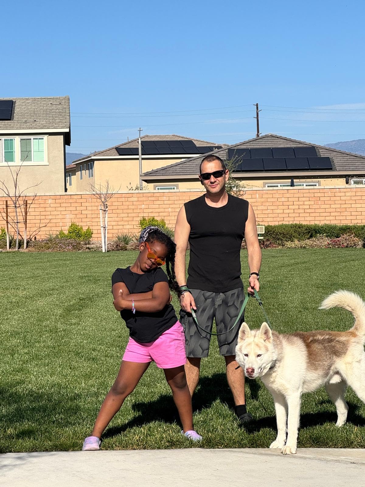 Ronzeil Muscle Building Dog Supplements Chicken Flavor review Ijeoma E. 00