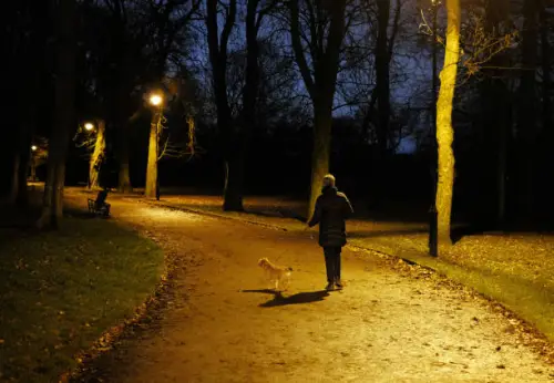 How To Solve The Problem Of Walking The Dog Outside