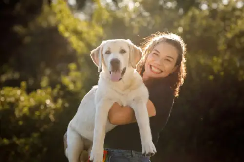  A Guide To Labrador Canine Fitness