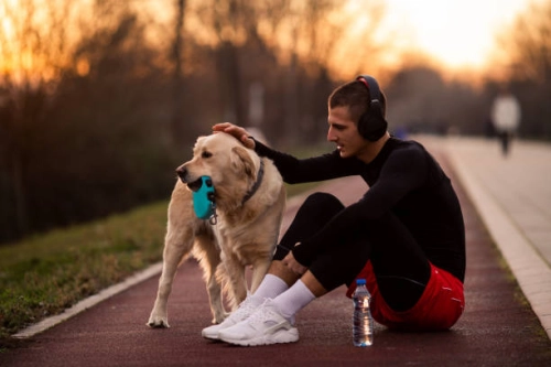 Are Dog Treadmills A Good Idea?