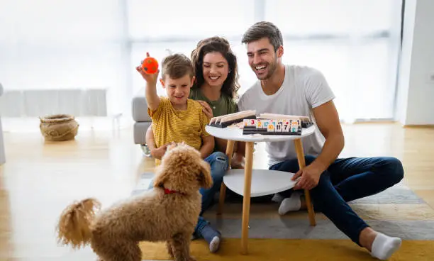 Is a Dog Treadmill Worth It?