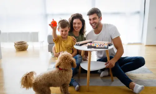 Is a Dog Treadmill Worth It?