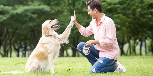 Revolutionize Canine Exercise