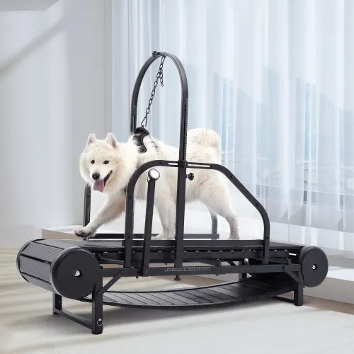 How To Make Your Dog Adapt To And Enjoy Using  A  Non-Electric  Treadmill?