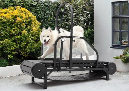 Common Mistakes to Avoid When Using Non-Electric Dog Treadmills