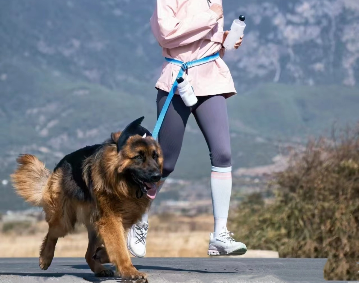 Running with Your Dog: Tips for a Safe and Fun Workout