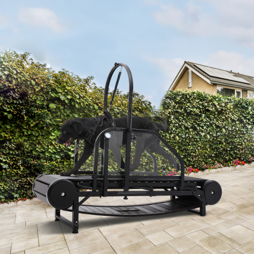 Benefits of Non-Electric Dog Treadmills for Working Service Dogs