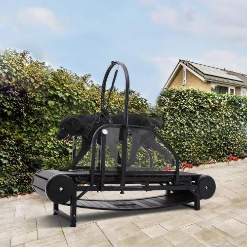 Benefits of Non-Electric Dog Treadmills for Working Service Dogs