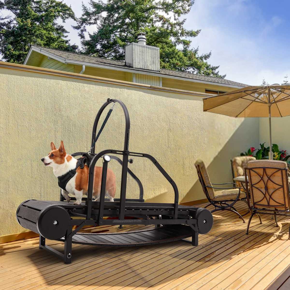 Comparison of Non-Electric Dog Treadmills: ABS Alloy vs. Wooden Tracks