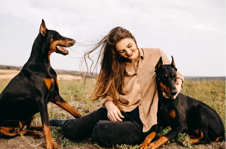 What Every Owner Should Know About Doberman Pinscher Growth and Exercise