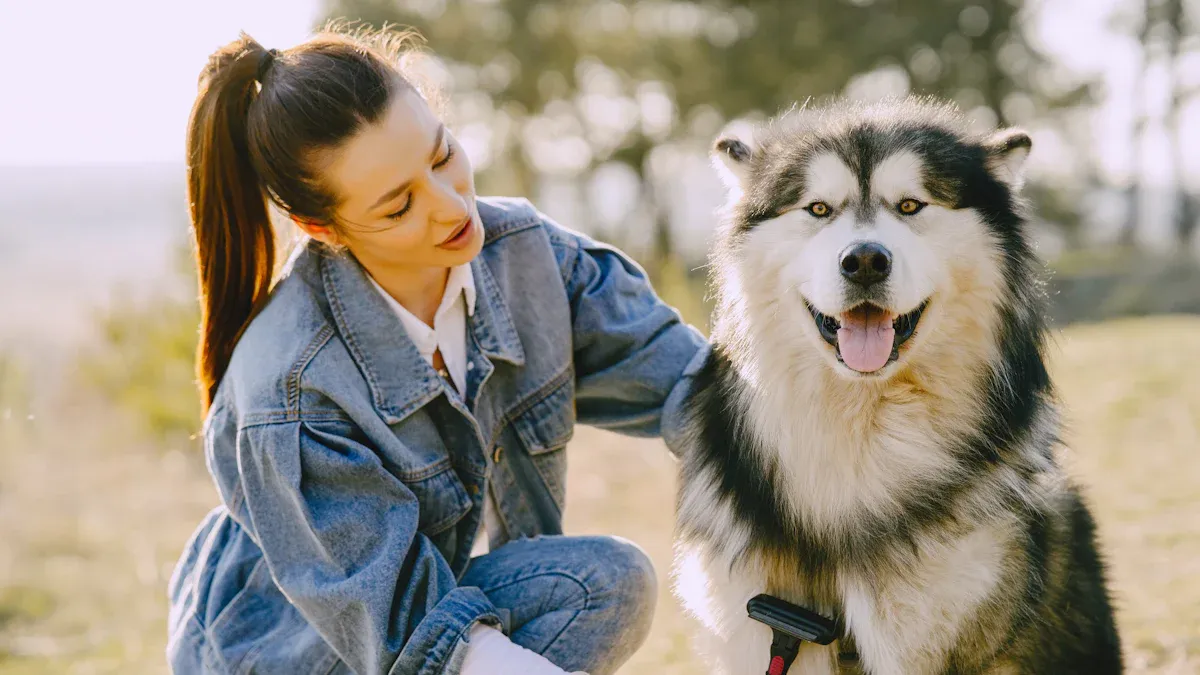 How to Provide the Best Care for Alaskan Malamutes