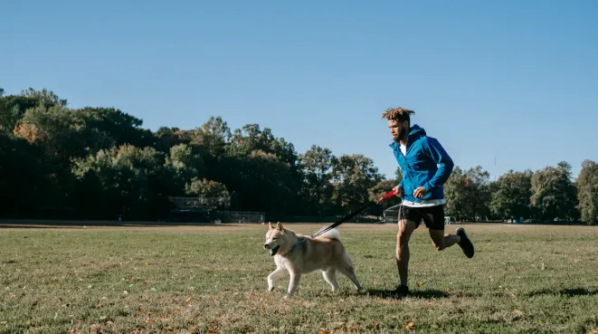 The Best Ways to Enhance Your Dog's Muscle Strength