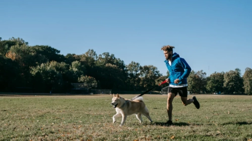 The Best Ways to Enhance Your Dog's Muscle Strength