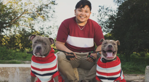 Solving Pit Bull Skin Problems A Comprehensive Guide to Multivitamins