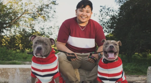 Solving Pit Bull Skin Problems A Comprehensive Guide to Multivitamins