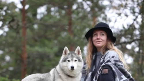 How to Stop Husky Shedding with Canine Multivitamin - Expert Grooming Guide