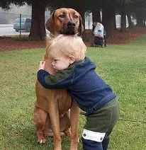 Happy Families How to Integrate Ridgebacks with Children and Exercise