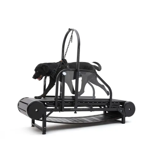 Manual vs. Motorized Dog Treadmills