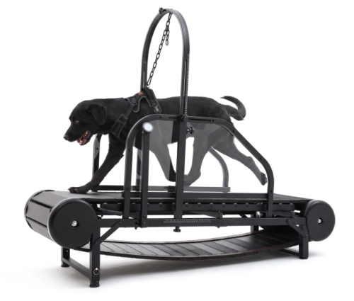 Exploring the Health Benefits of Dog Treadmills for Your Pet