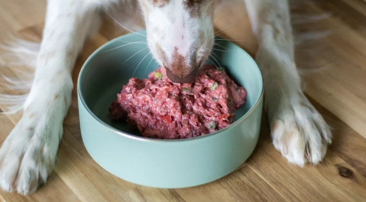 How to Ensure Optimal Health for Your Australian Kelpie