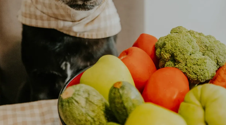 Do Dogs Really Need Multivitamins If They Eat Dog Food?