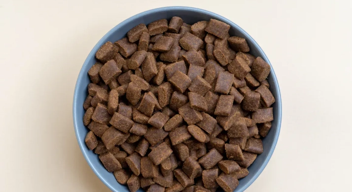 Top 8 Ingredients in High-Quality Dog Multivitamins