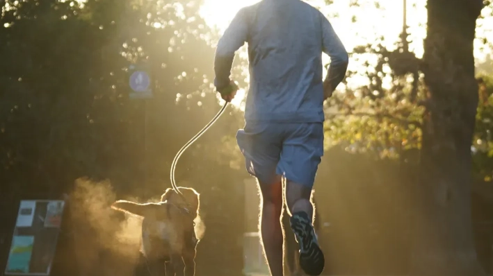 Affordable Dog Treadmill: Is It Worth It for Summer Exercise?