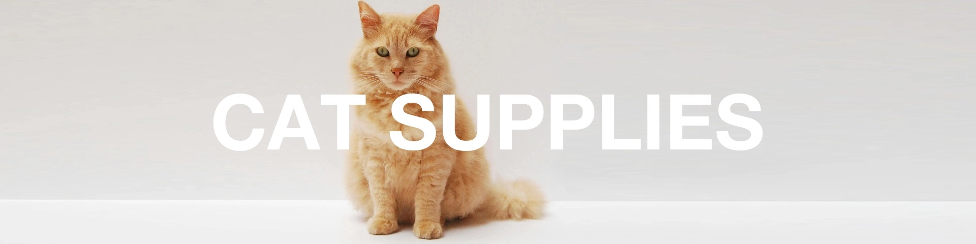 CAT SUPPLIES