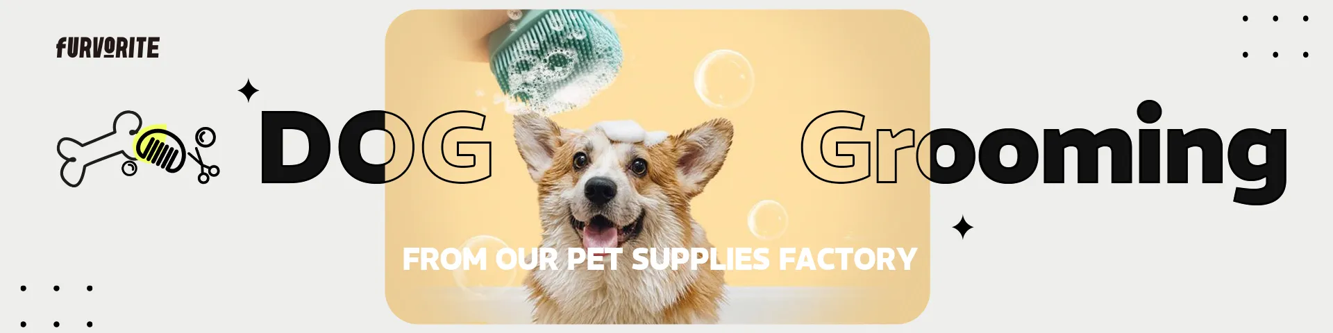 dog grooming supplies

