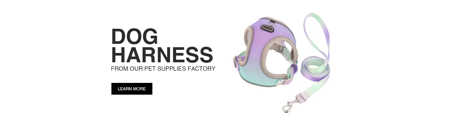 personalized dog harness
