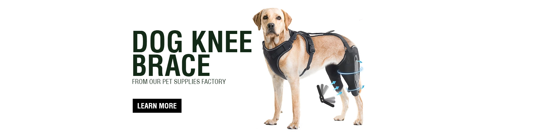 Dog Knee Brace