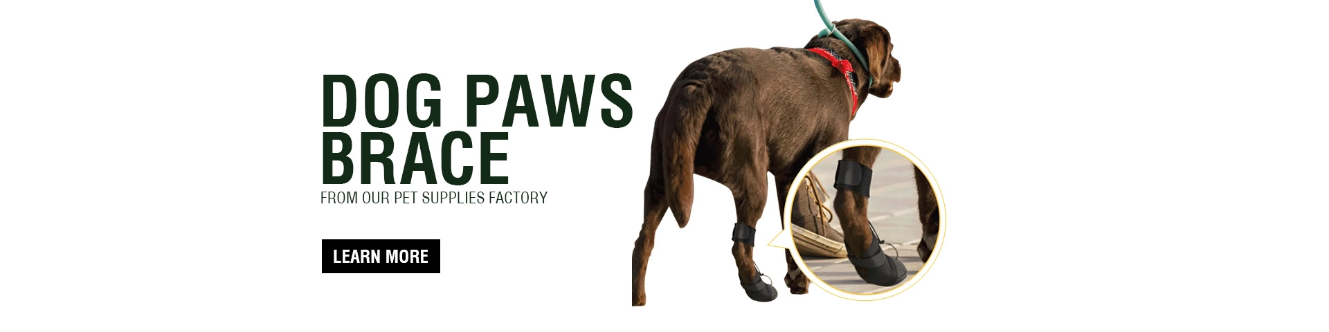 Dog Paws Brace