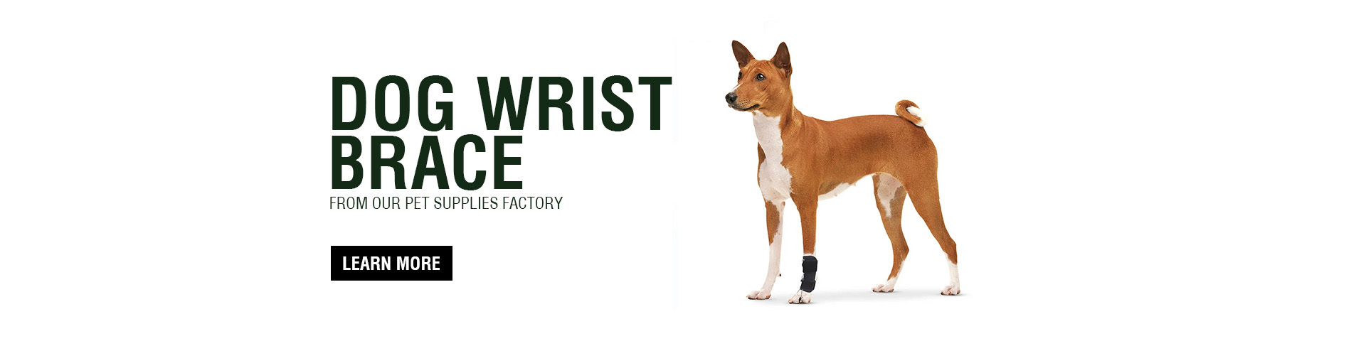 Dog Wrist Brace