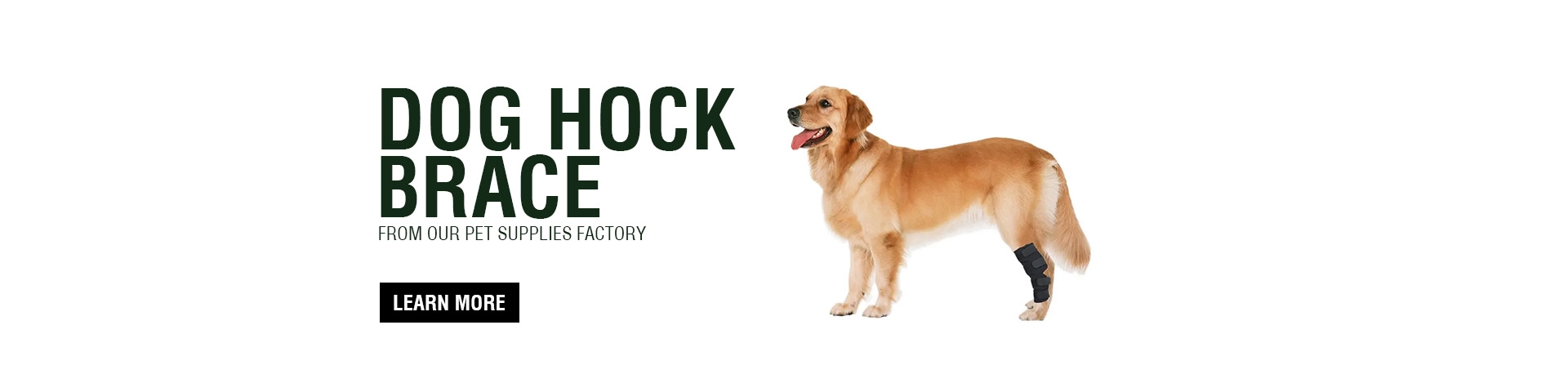 Dog Hock Brace
