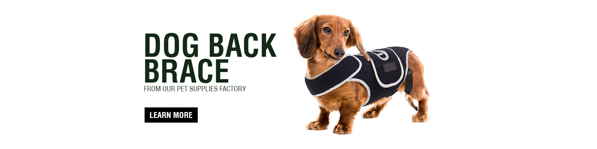 Dog Back Brace